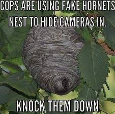 Find and save hornets nest memes | from instagram, facebook, tumblr, twitter & more. Hornets Next Hidden Cameras Know Your Meme