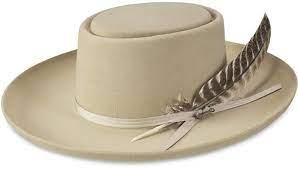 Stetson Men S Feather Hat Feather Hat Stetson Hat Cowboy Hats