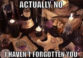 18 Brujeria Memes Ideas Funny Memes Funny Quotes