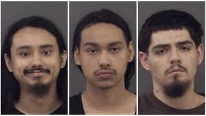 5 arrested in Bolingbrook burglaries; gun recovered