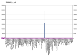 prostate specific antigen wikipedia