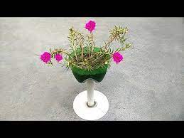 Make A Mini Flower Stand And Grow Time Flower Portulaca Moss Rose Table Rose Japanese Rose Youtube Flower Stand Flower Stands Japanese Rose