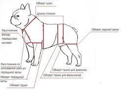 odezhka dlya sobaki dog coats dog clothes diy dog stuff