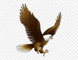 Eagle Clipart Png Eagle Png Transparent Png 4065277 Pinclipart Clip Art Png Transparent Background
