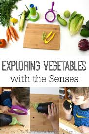 Science For Kids Exploring Vegetables With The Senses Pre K Pages Preschool Food Nutrition Activities Science For Kids
