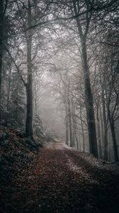 Hd wallpapers and background images Forest Iphone 8 7 6s 6 For Parallax Wallpapers Hd Desktop Backgrounds 938x1668 Images And Pictures