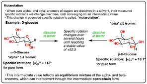 Carbohydrates - Biological Molecules - Mcat Review