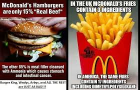 Pin On Fun Facts