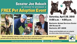 Need one person and the same person every time. Free Pet Adoption Event Ny State Senate