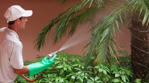 Johns county's reliable pest control man. Outback Pest Control In Spring Hill Fl With Reviews Yp Com