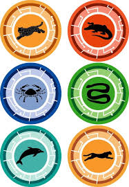 Wild Kratts Creature Power Disks Wild Kratts Birthday Party Wild Kratts Wild Kratts Birthday