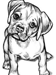 You can introduce the child to different animals in coloring pages on our website. Artistic Red Puppy Drawing Puppy Sketch Dog Drawing