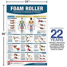 Foam Roller Myofascial Release Chart Poster Muscle