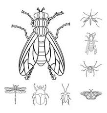 We did not find results for: Mosquito Tattoo Vector Images Over 100
