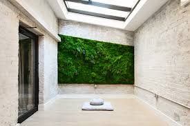 Photographic art picture of colony of white wild small mushrooms growing on old dead try with green moss in summer. How To Build Plant And Maintain A Living Garden Wall At Home Vogue