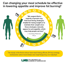 I became mindful about food choices. How To Lose Weight With Intermittent Fasting And Eating Earlier In The Day