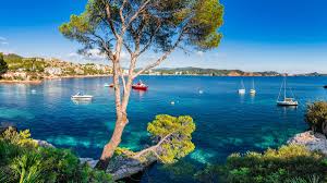 ¡abrochaos los cinturones porque arrancamos! Klimatabelle Paguera Wassertemperatur Beste Reisezeit Wetter
