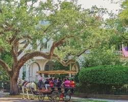 These activity ideas are great for developing lesson plans for great ideas for developing lesson plans and keeping the kids engaged with what's happening in the days of may. Top 10 Fun Things To Do In South Carolina With Kids