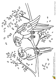 Epingle Sur Coloriages Animaux De La Jungle Et De La Savane
