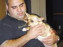 Crowd lining up to adopt abandoned Chihuahua