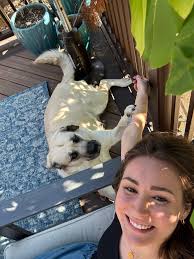 Sooo the family and I want to move to Denver , but it'll we be a few months  of back and forth from Tennessee for us . We are looking for a