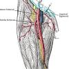 The results can help your doctor determine a treatment to lower your stroke risk. Https Encrypted Tbn0 Gstatic Com Images Q Tbn And9gctllop1zf Fixomqtkvqtvoq3rcejf2iaeqvih Luncgjutzwhd Usqp Cau