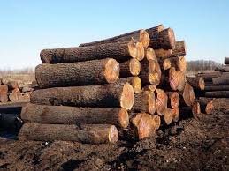 New and used items, cars, real estate, jobs, services, vacation rentals and more virtually anywhere in ontario. Bryce Wilson On Twitter Wanted Walnut Logs Https T Co Wrzsaydj0r