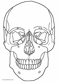 This cheeky skeleton isn't what you would normally expect to see popping out of a pumpkin on halloween! Skull Anatomy Coloring Pages Skull Anatomy Coloring Pages Skull Anatomy Coloring Pages Anatomy Colorin Skull Coloring Pages Anatomy Coloring Book Skull Anatomy