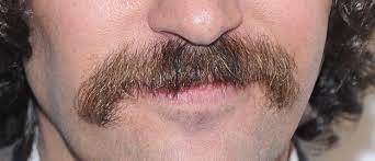 If you know, you know. Can You Guess Which Celebrities These Mustaches Belong To
