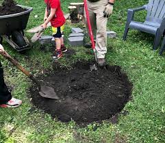 Wood burning fire pit types. Finished Digging Fire Pit 1915 House