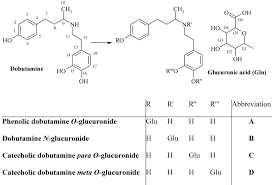 Image result for Dobutamine