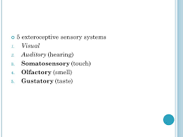 M Echanisms Of P Erception H Earing T Ouch S Mell T Aste A Ttention Ppt Download