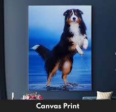 Maybe you would like to learn more about one of these? Custom Canvas Pet Print Portraits Online Gift For Pet Lovers