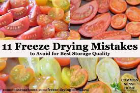 Sardes gida san ve tarim urunleri tic. 11 Freeze Drying Mistakes To Avoid For Best Storage Quality