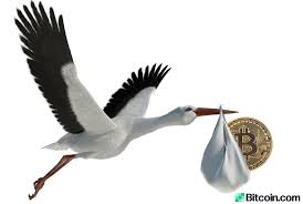 Therefore, it can be argued that a coin burning mechanism is a more equitable and fairer way of distributing value to all participants in the network. Industry Execs Claim Freshly Minted Virgin Bitcoins Fetch 20 Premium Featured Bitcoin News