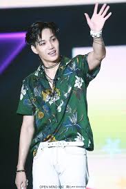 Open Mind Kai Do Not Edit Exo Kai Kim Jong In Hawaiian Shirt
