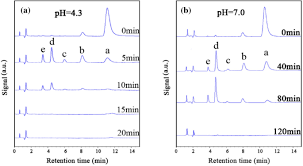 Rhb bank berhad is a major bank in malaysia and is a subsidiary of rhb capital, a majority owned. Ph Controlled Mechanism Of Photocatalytic Rhb Degradation Over G C 3 N 4 Under Sunlight Irradiation Springerlink