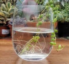 Pin On Garden Art