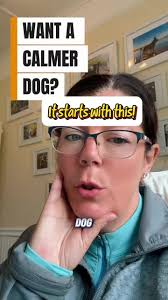 Think your dog's just being 'naughty'? It's probably not that at all. ...