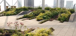 Pin On Landscape