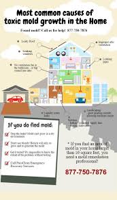 Infographic Common Causes Of Mold Growth In Your Home Mold Remover Mold Growth How To Remove