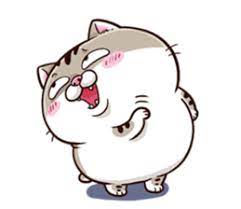Ghim Tren Meowcos