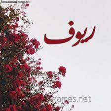 ريوف شكل 18 صوره الورد الأحمر للإسم بخط رقعة كتابة على الورد 2021