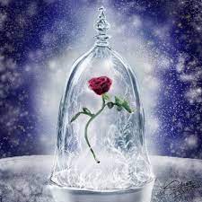 Enchanted Rose From Beauty And The Beast Beauty And The Beast Beast Enchanted Rose