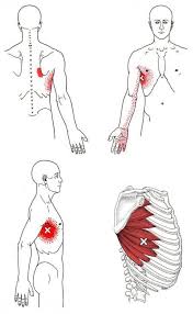 Pin On Massage Therapy