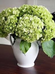 Hydrangea Wedding Centerpieces Hydrangea Flower Arrangements Table Flower Arrangements Hydrangeas Wedding