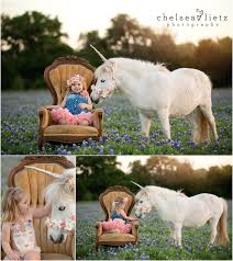 Unicorn And Pony Photos For Children Chelsea Lietz Photography San Antonio San Antonio Newborn Photograp Mini Photo Shoot Unicorn Pictures Unicorn Photos