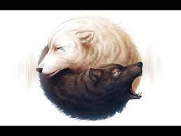 Wolves hunt other animals for food. Yin And Yang Digital Speedpainting Black And White Wolf Tutorial Adobe Photoshop Youtube