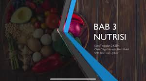 Jadi bagaimana dengan image yang diberikan diatas? Nota Sains T2 Bab 3 Nutrisi