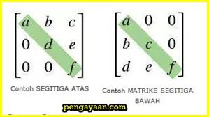 We did not find results for: Contoh Penerapan Matriks Dalam Kehidupan Sehari Hari Materi Sekolah Pengayaan Com